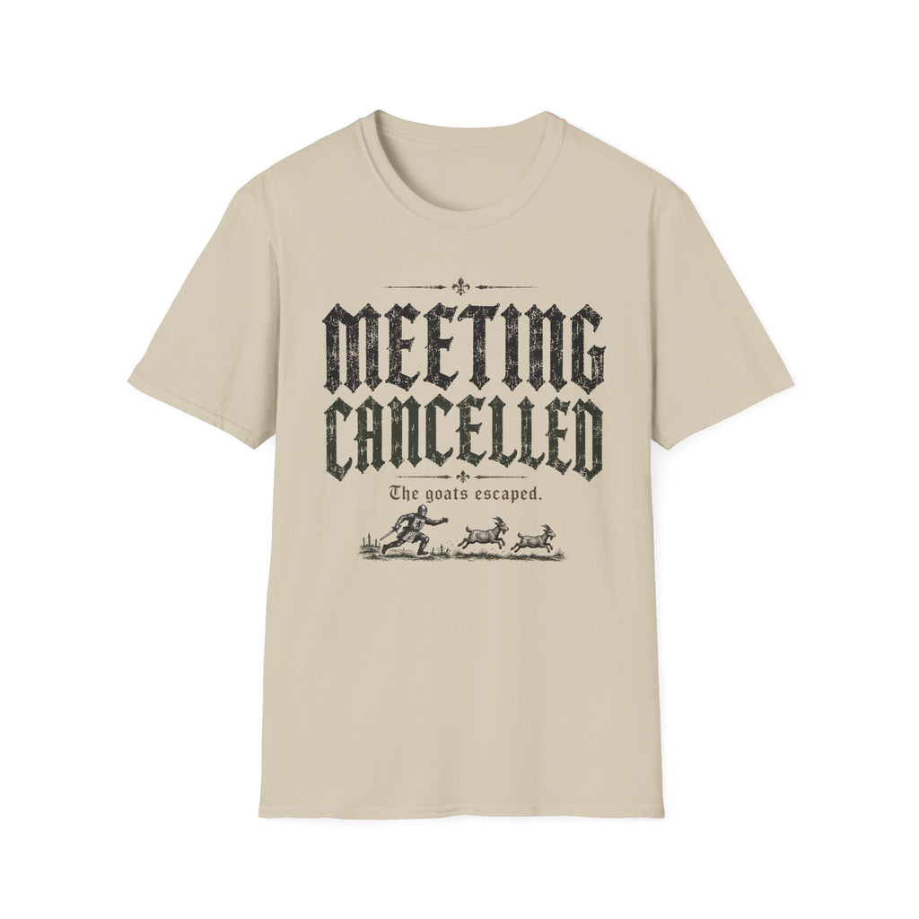Meeting Cancelled T-Shirt